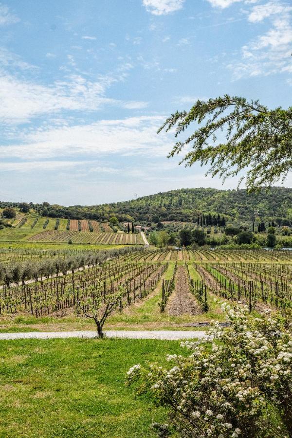 Agriturismo Biologico Bulichella Suvereto Exterior foto