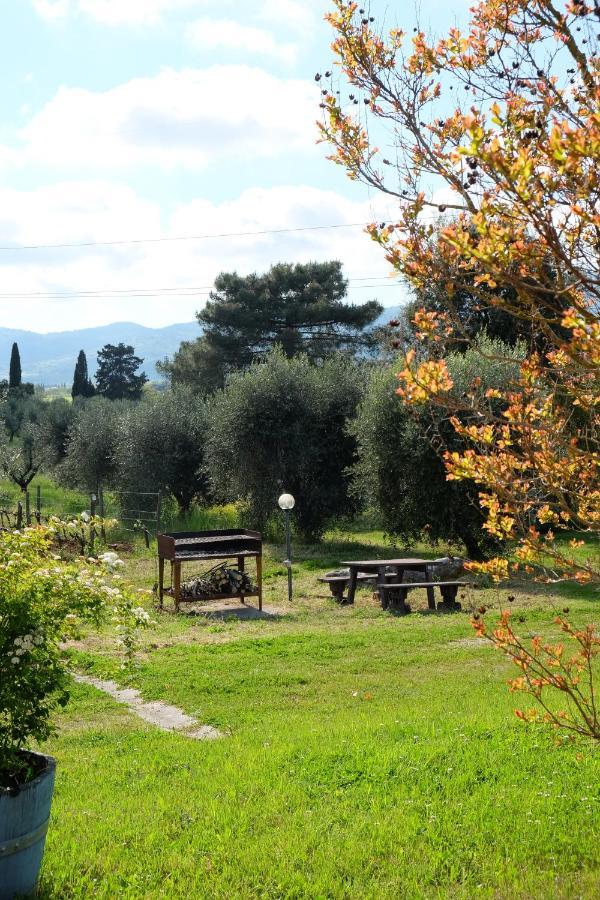 Agriturismo Biologico Bulichella Suvereto Exterior foto